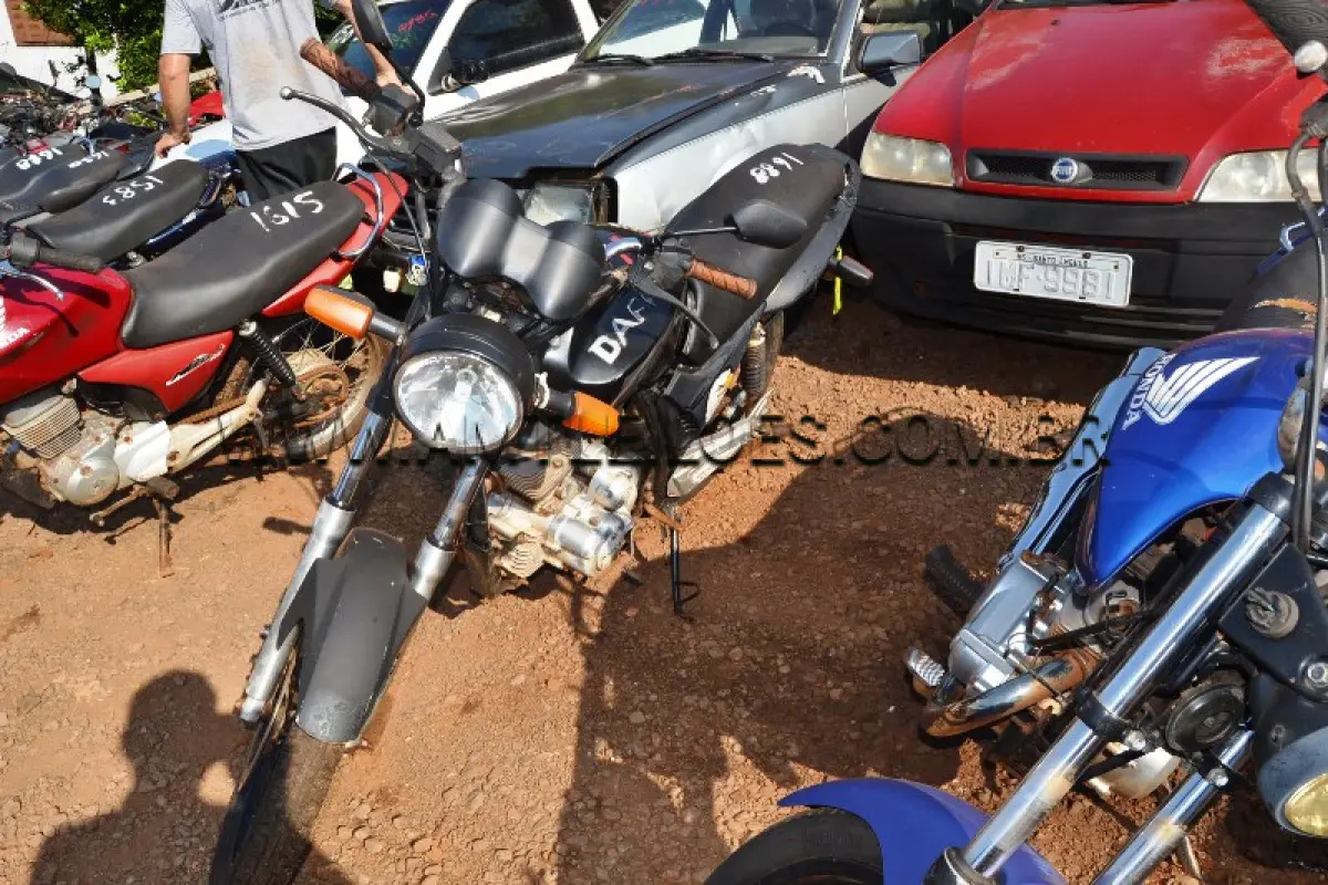 LOTE 0174