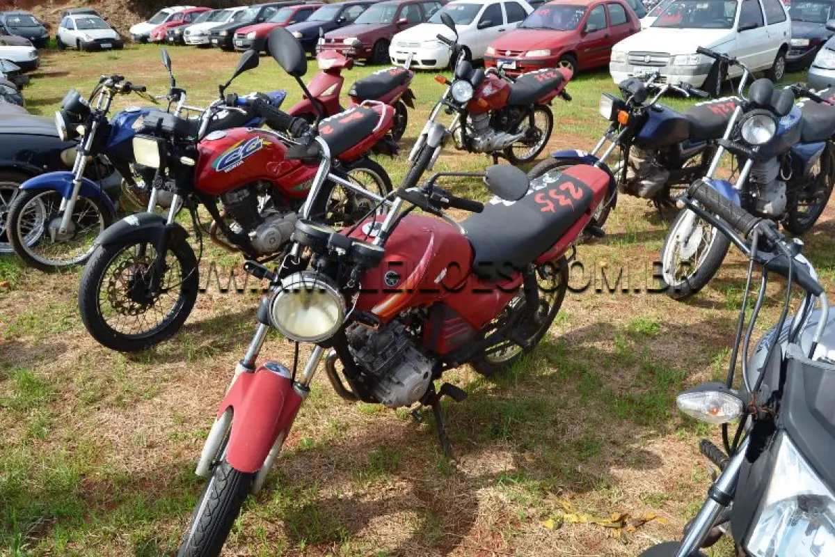 LOTE 0235