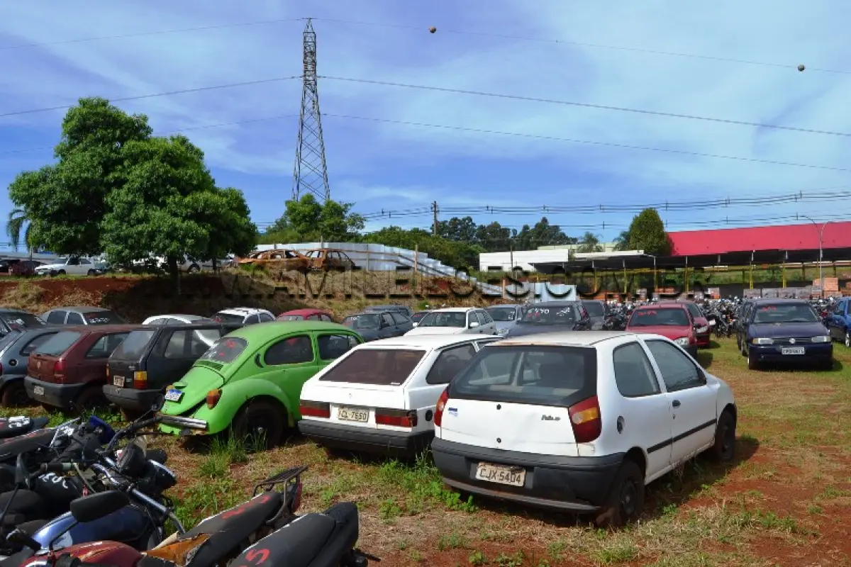 LOTE 0207