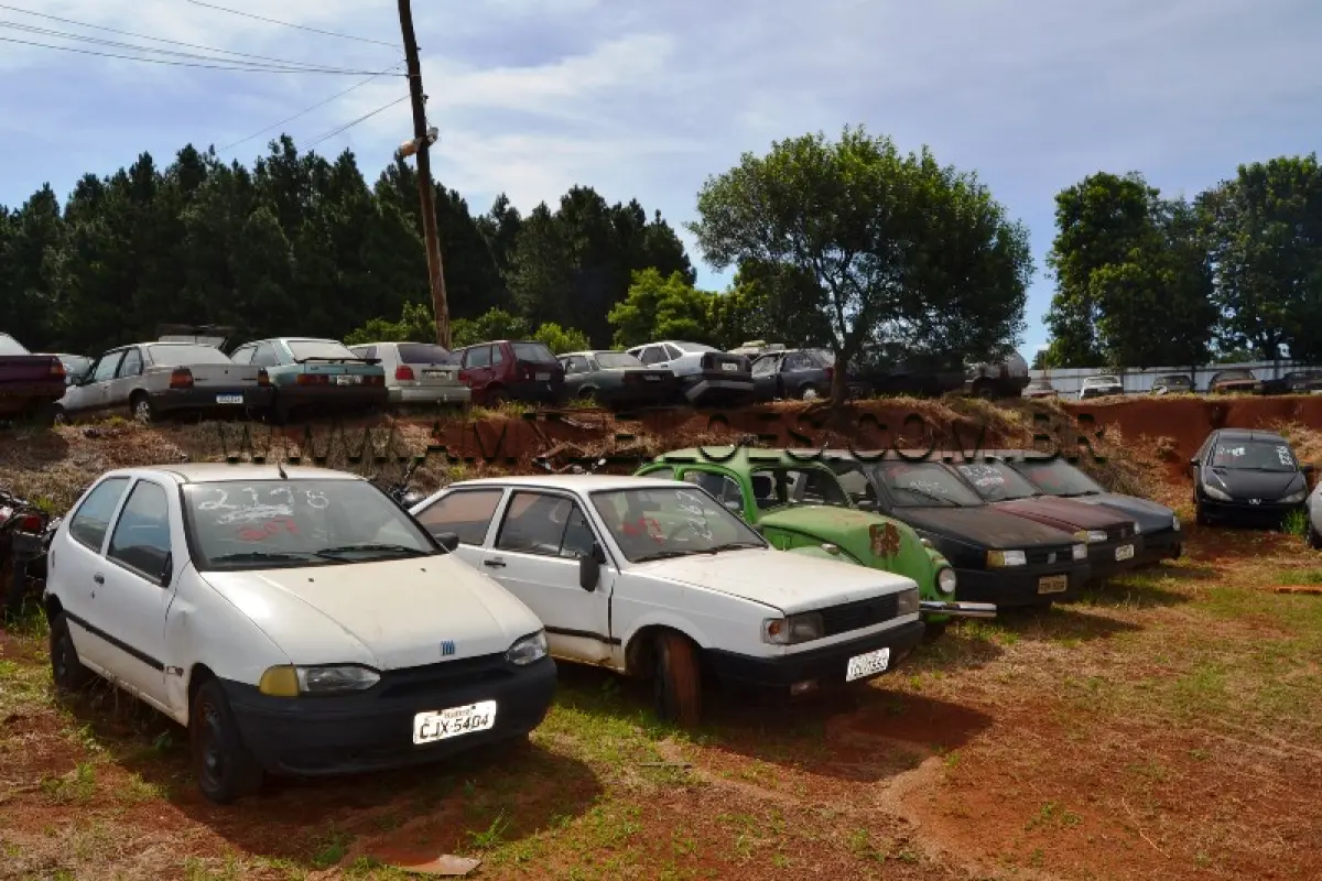 LOTE 0207