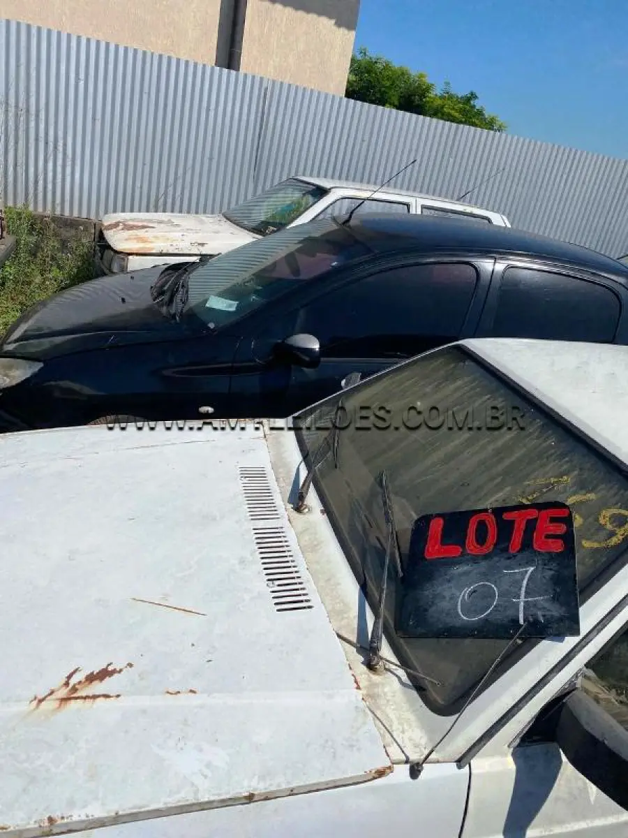 LOTE 0007