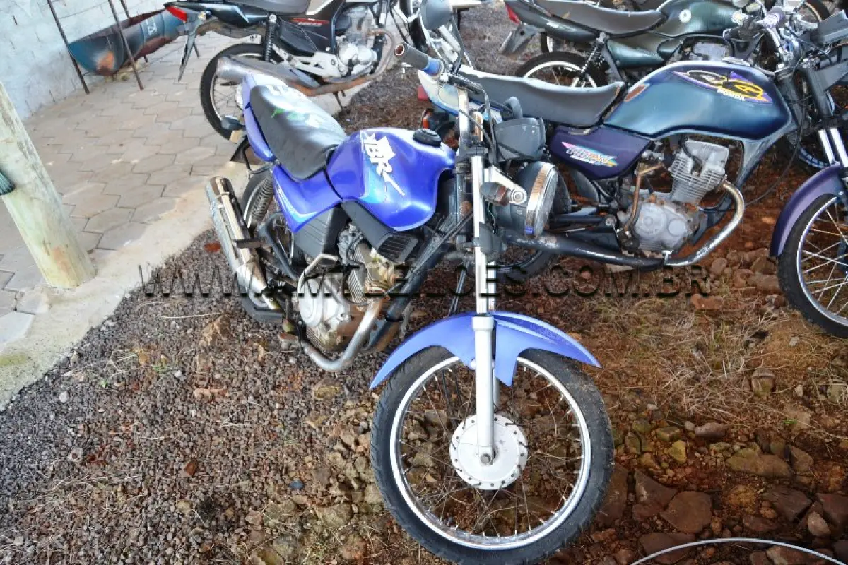 LOTE 0316