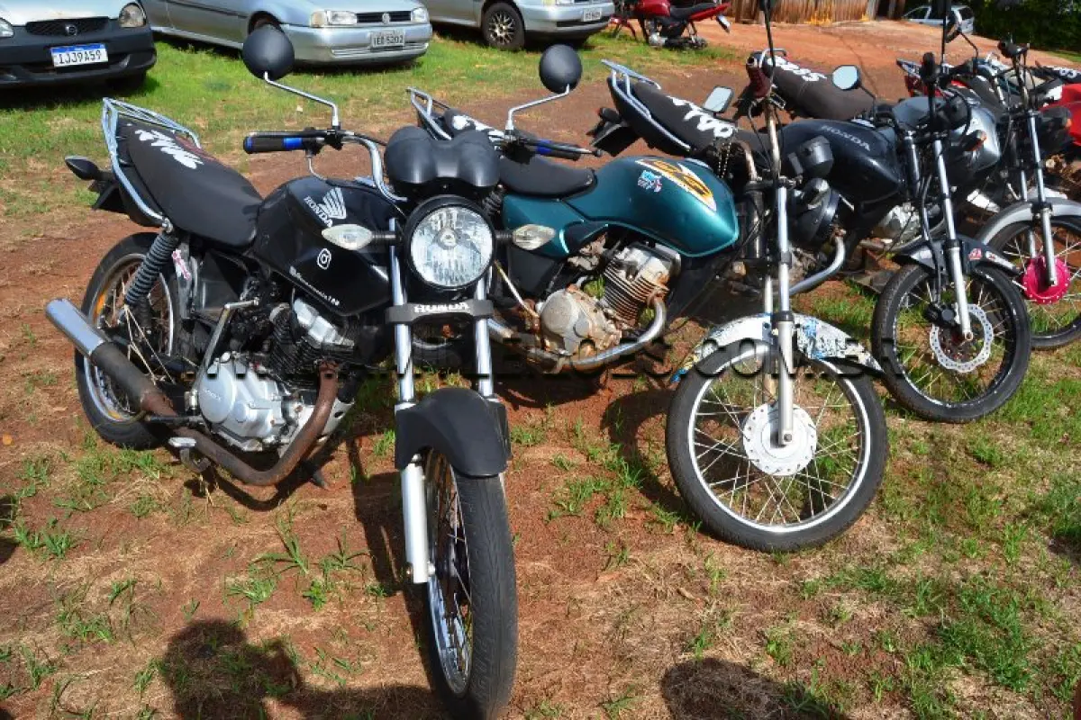 LOTE 0265
