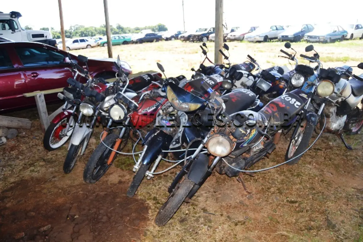 LOTE 0306