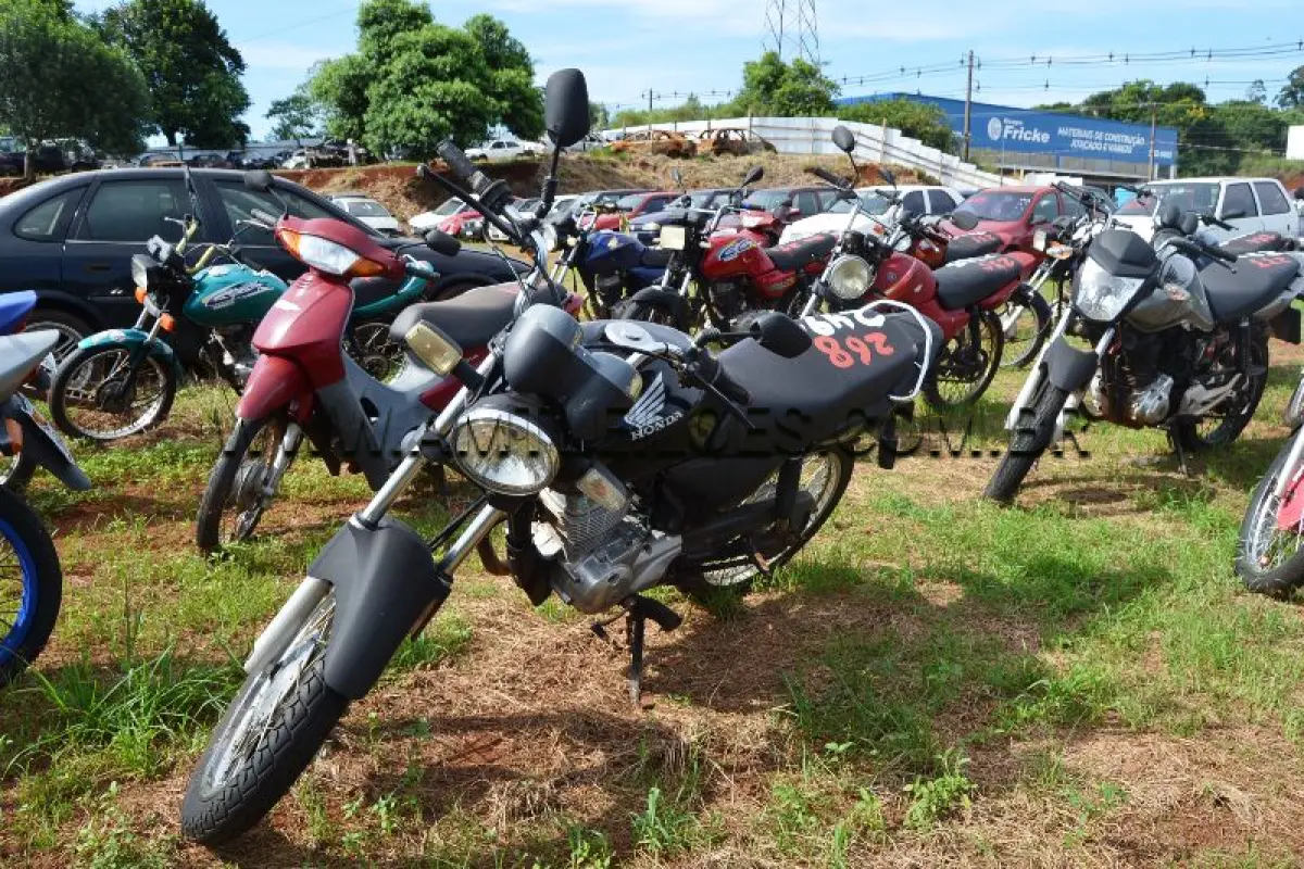 LOTE 0268