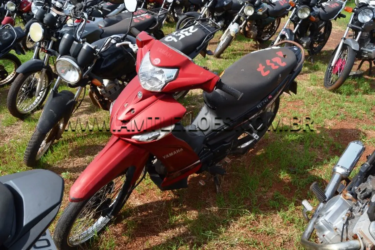 LOTE 0237