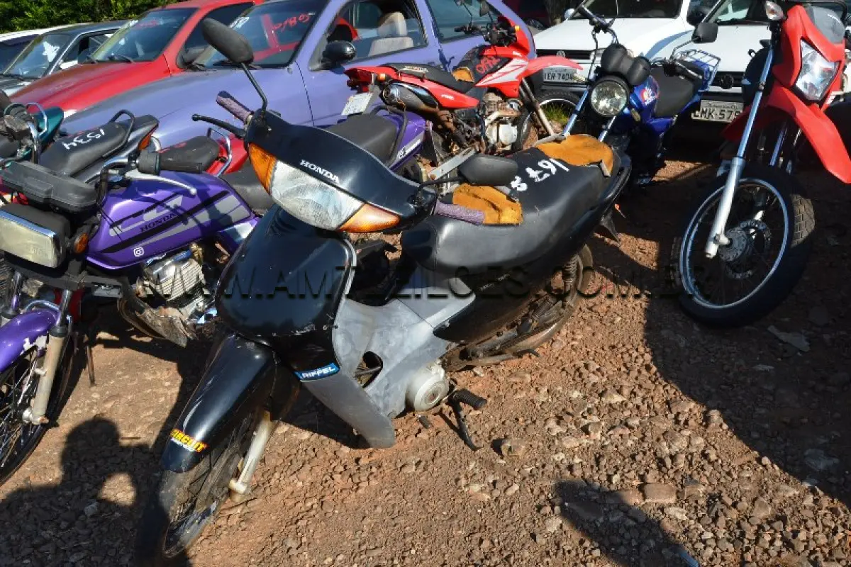LOTE 0173
