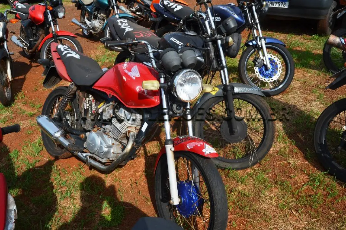 LOTE 0225