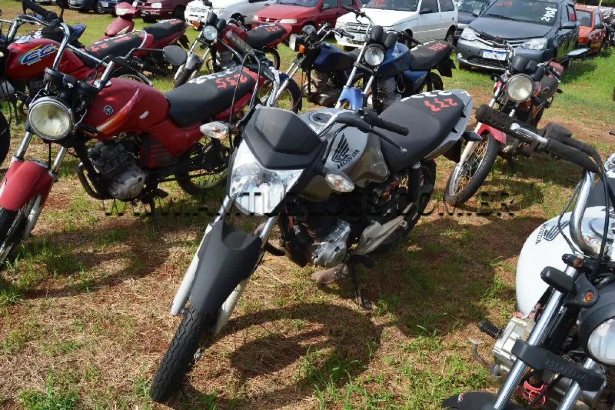 LOTE 0233