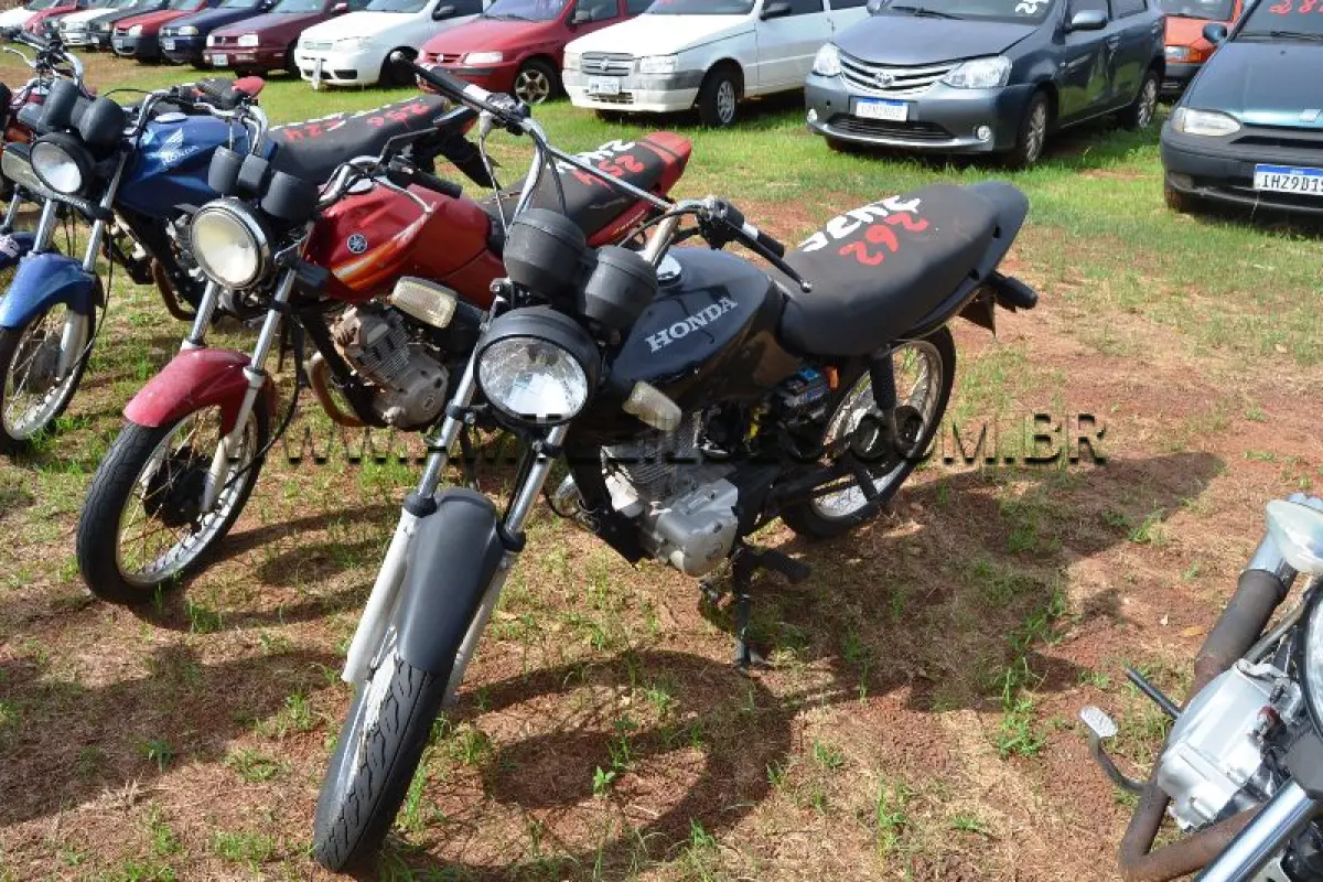 LOTE 0262