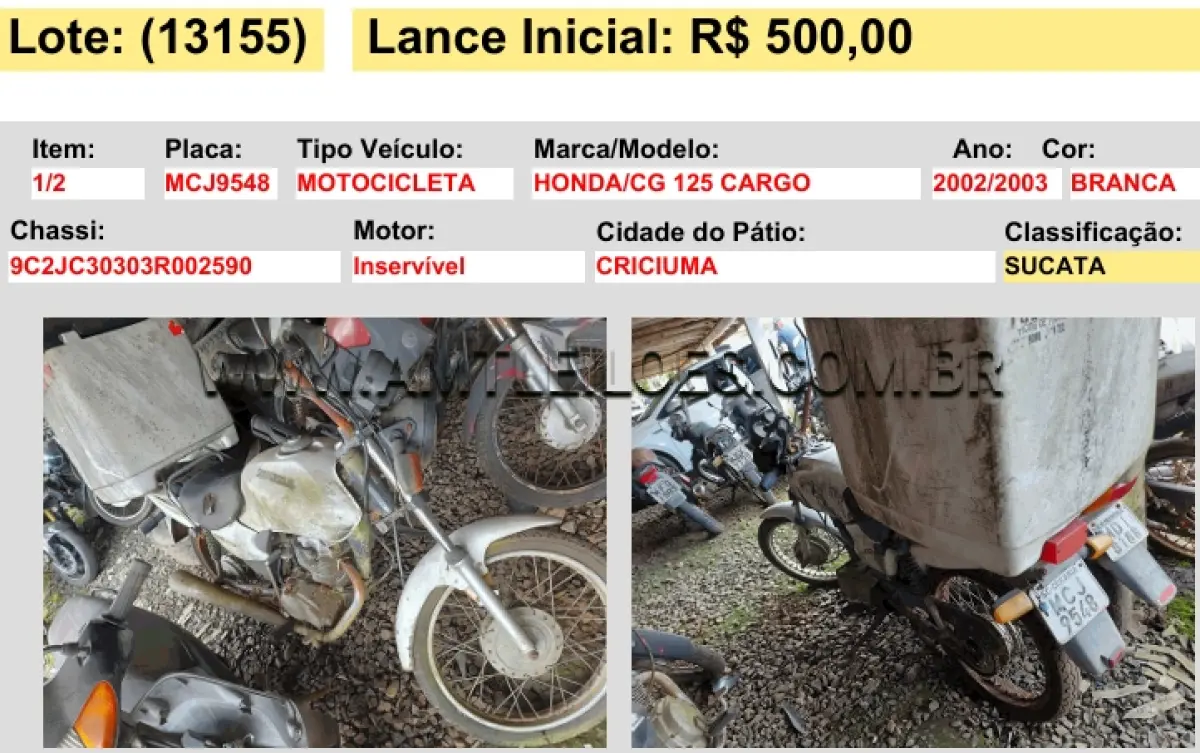LOTE 13155