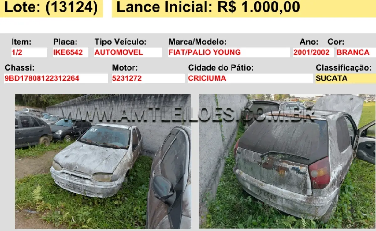 LOTE 13124