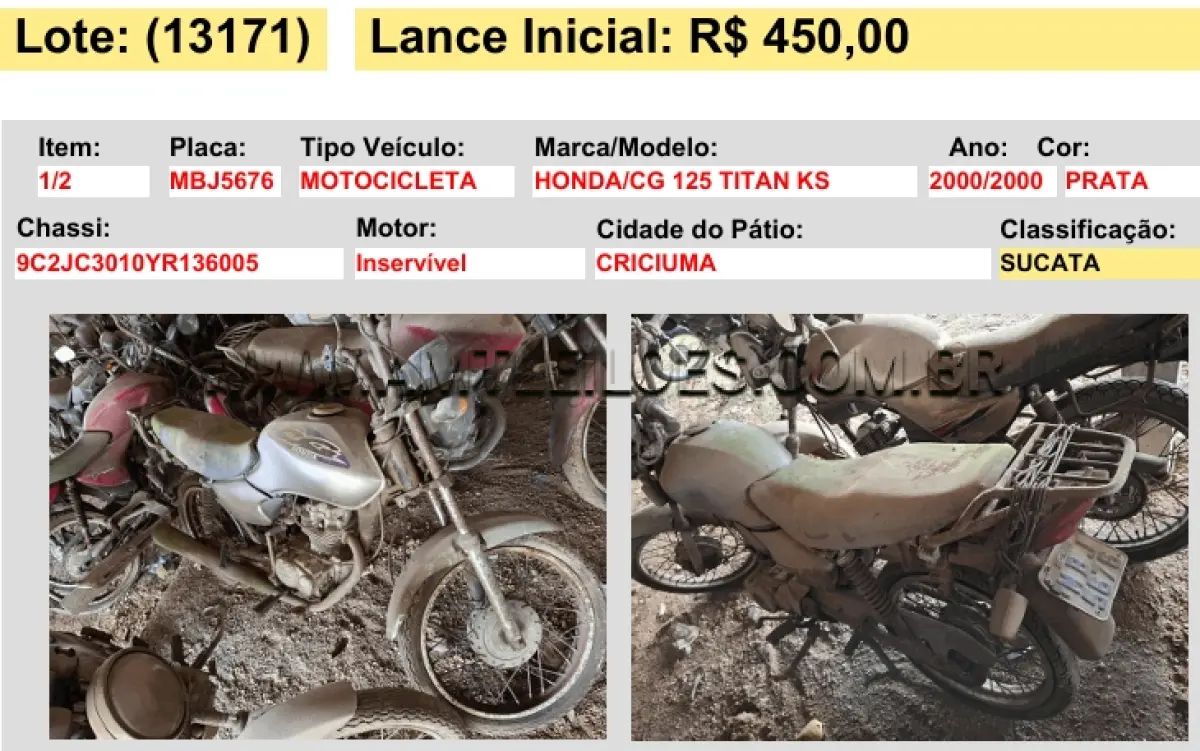 LOTE 13171