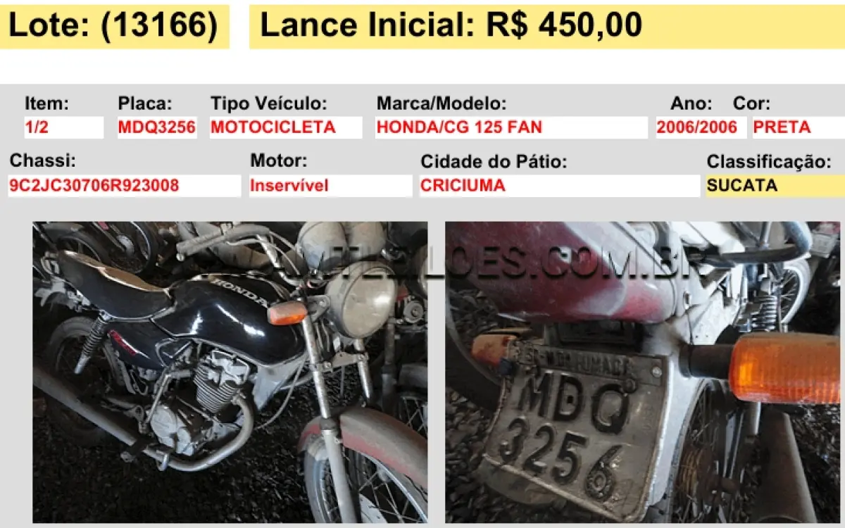 LOTE 13166