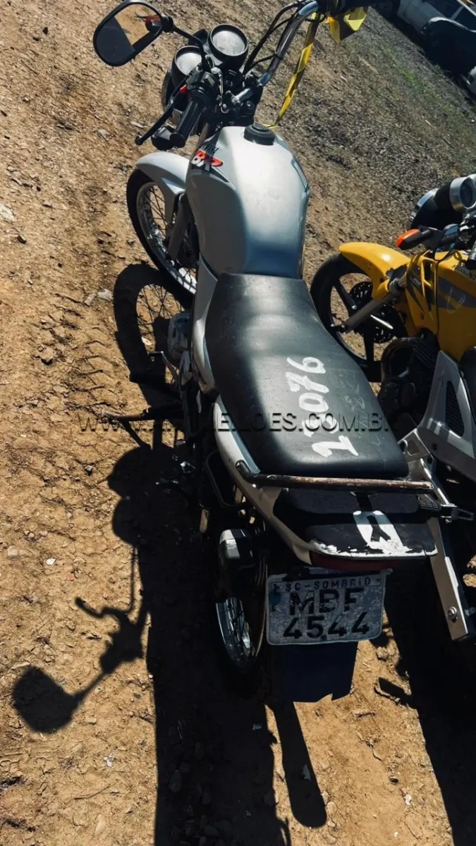LOTE 13076