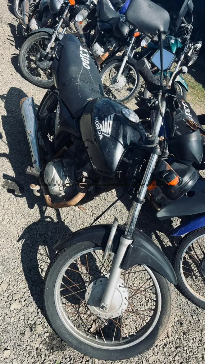 LOTE 13100