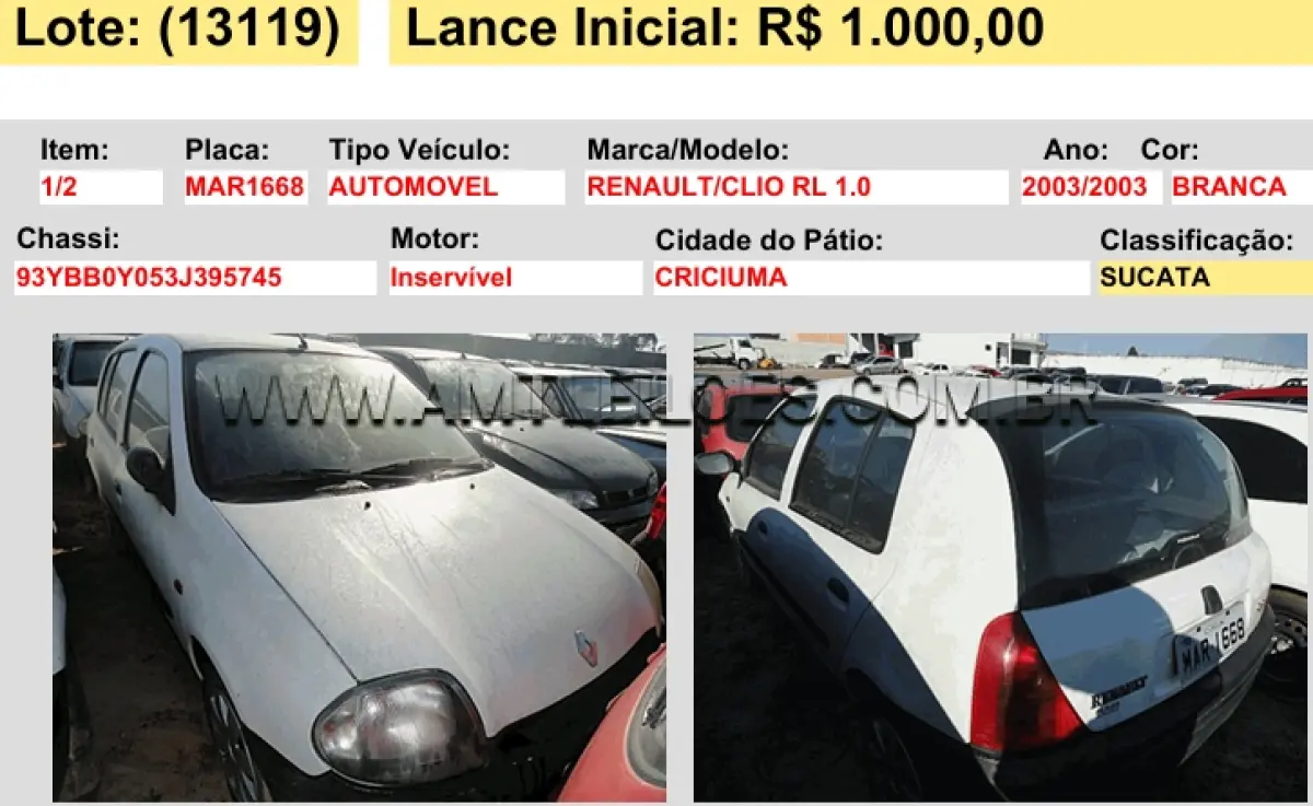LOTE 13119