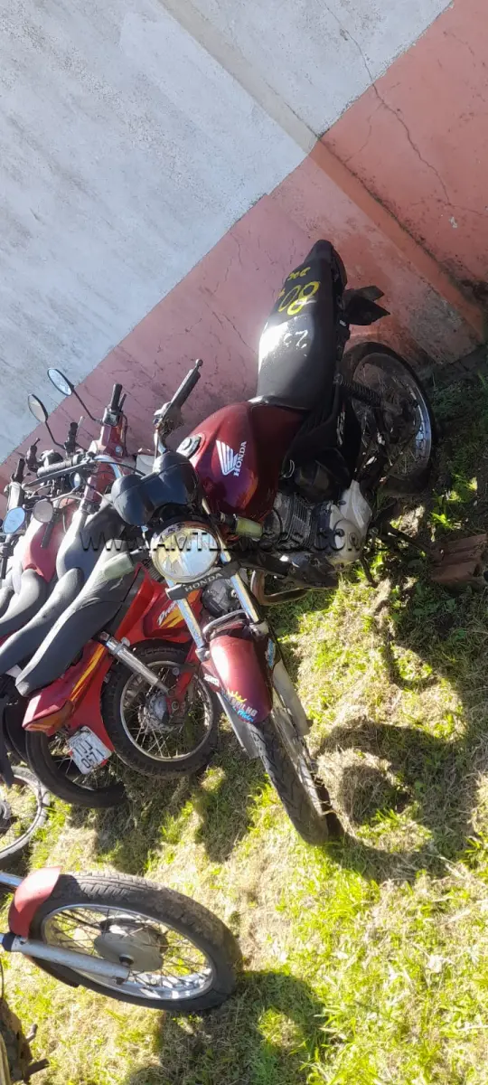 LOTE 0080