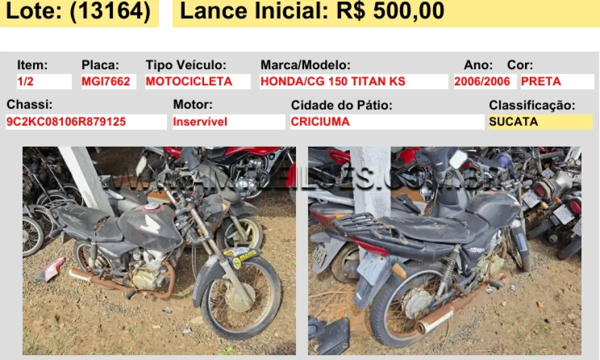 LOTE 13164