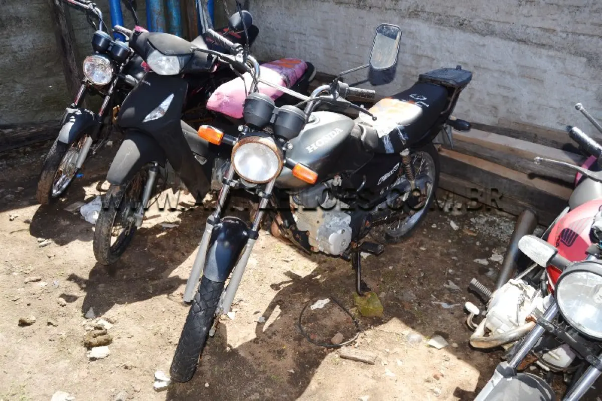 LOTE 0019