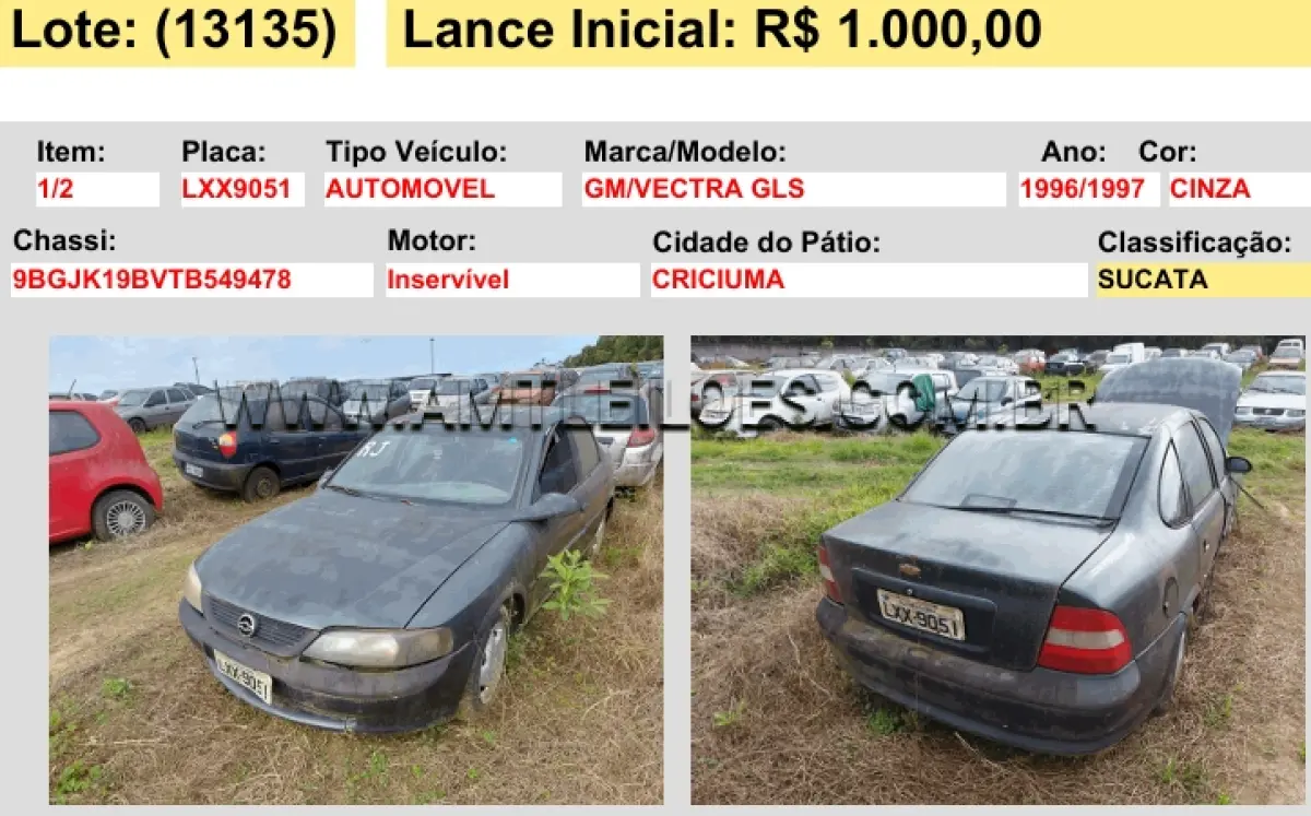 LOTE 13135