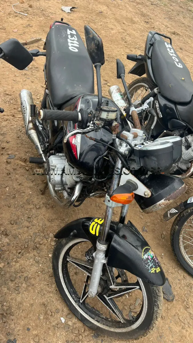 LOTE 13110