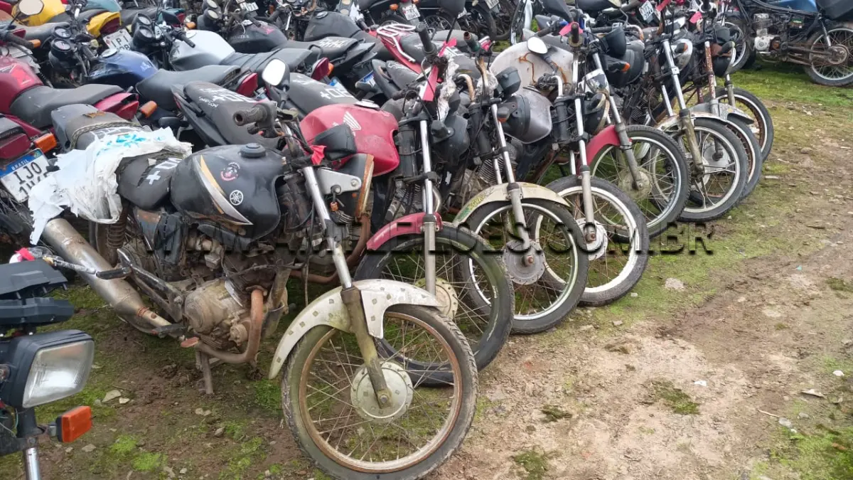 LOTE 0030