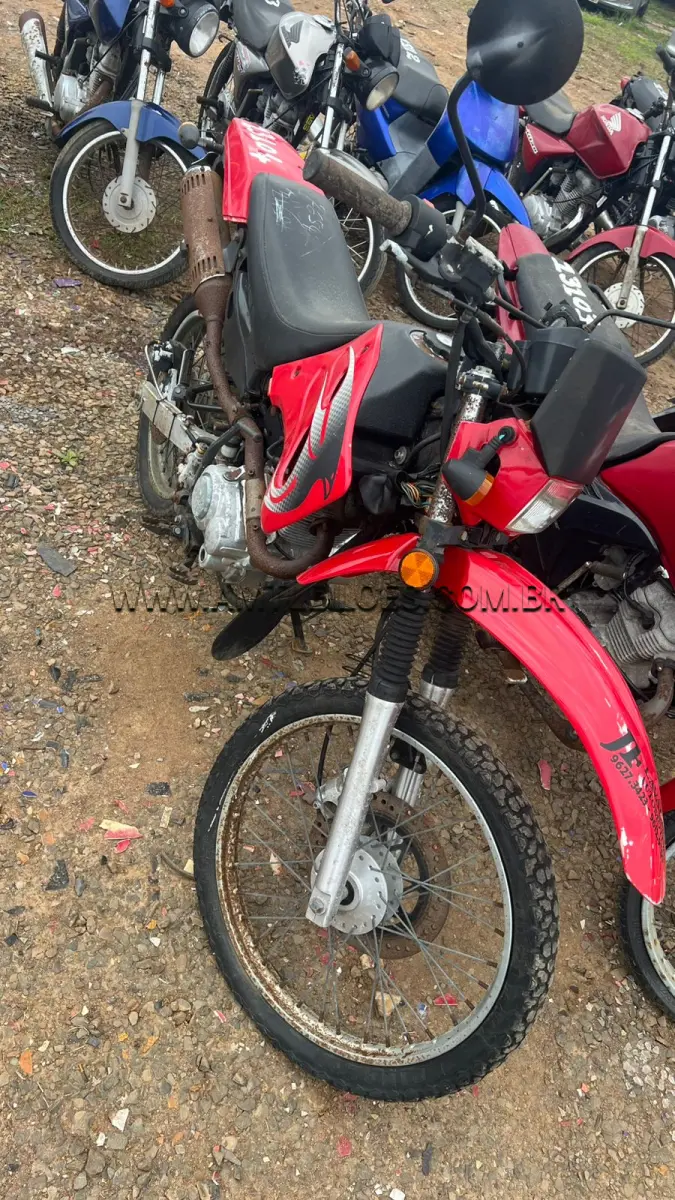 LOTE 13104