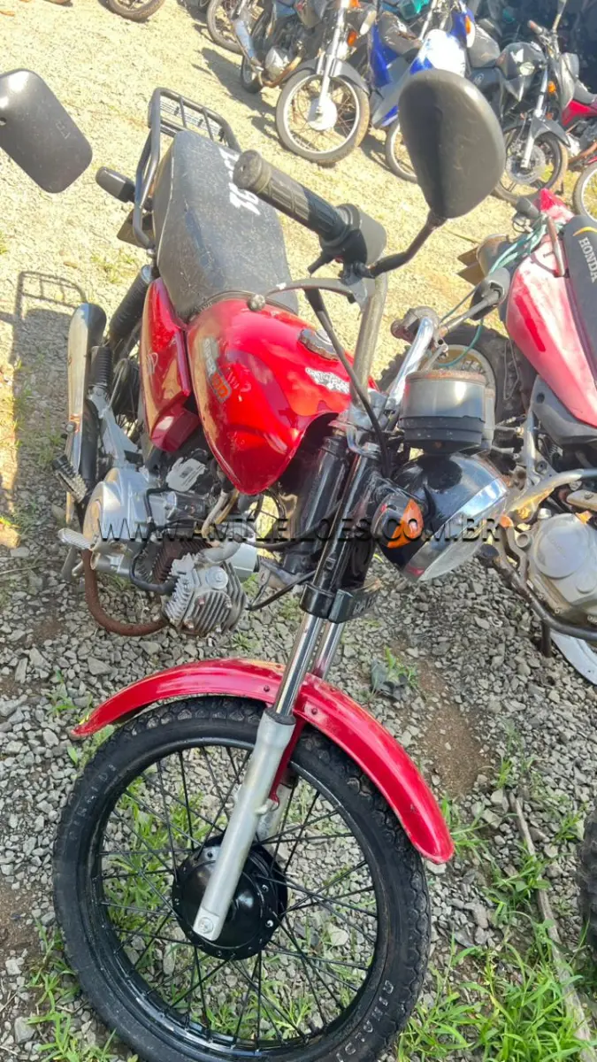 LOTE 13091