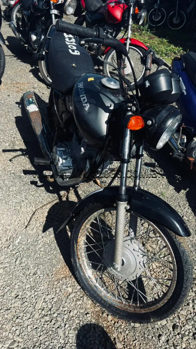 LOTE 13109
