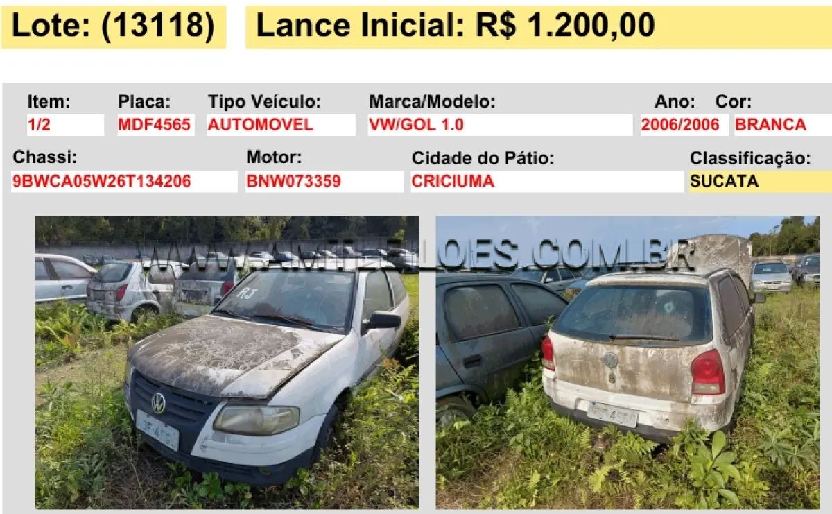 LOTE 13118