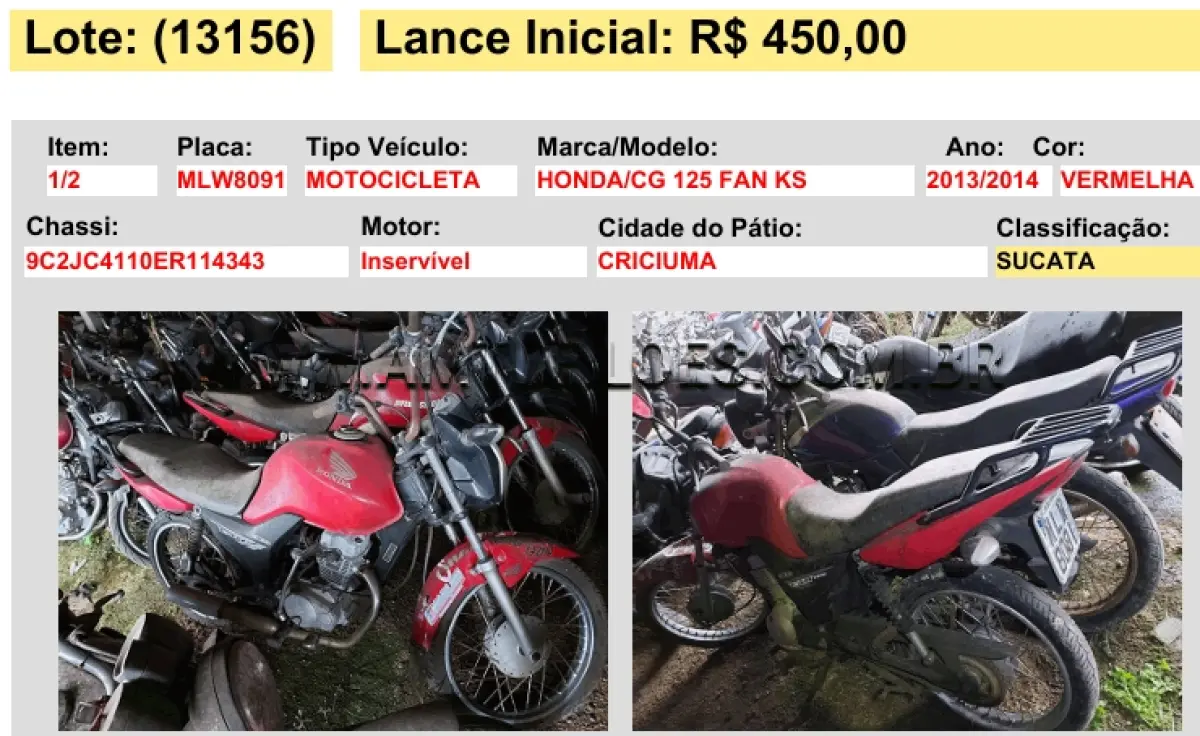 LOTE 13156