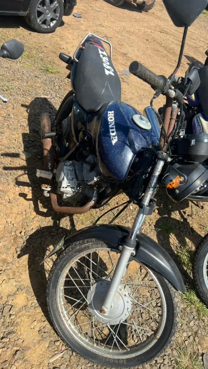 LOTE 13081