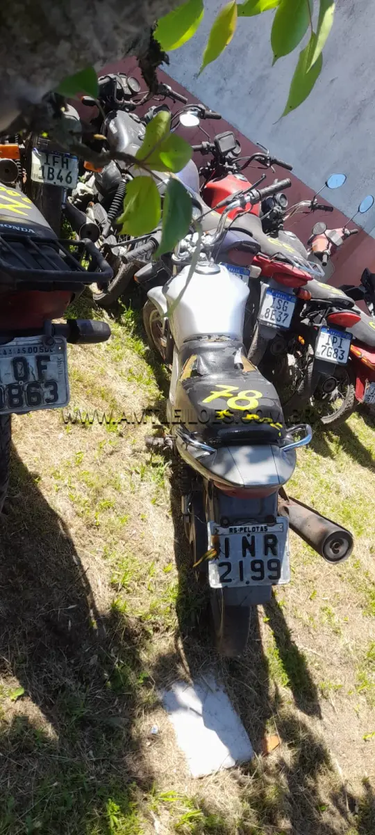 LOTE 0078