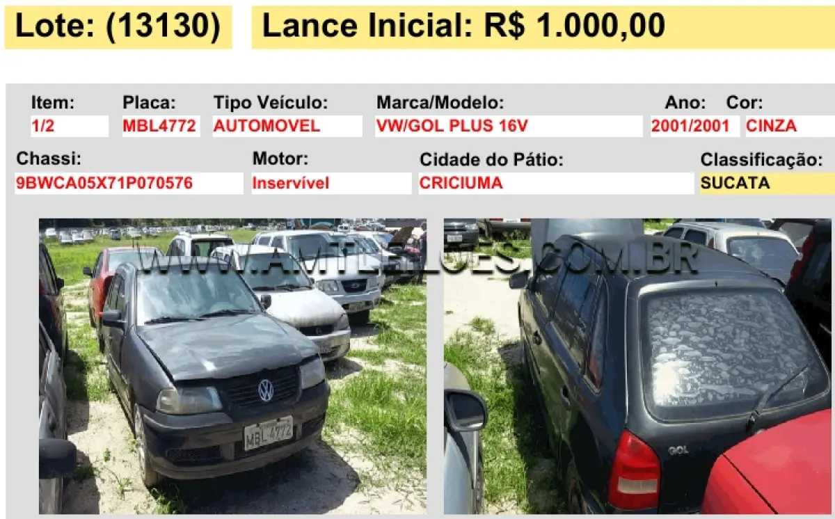 LOTE 13130