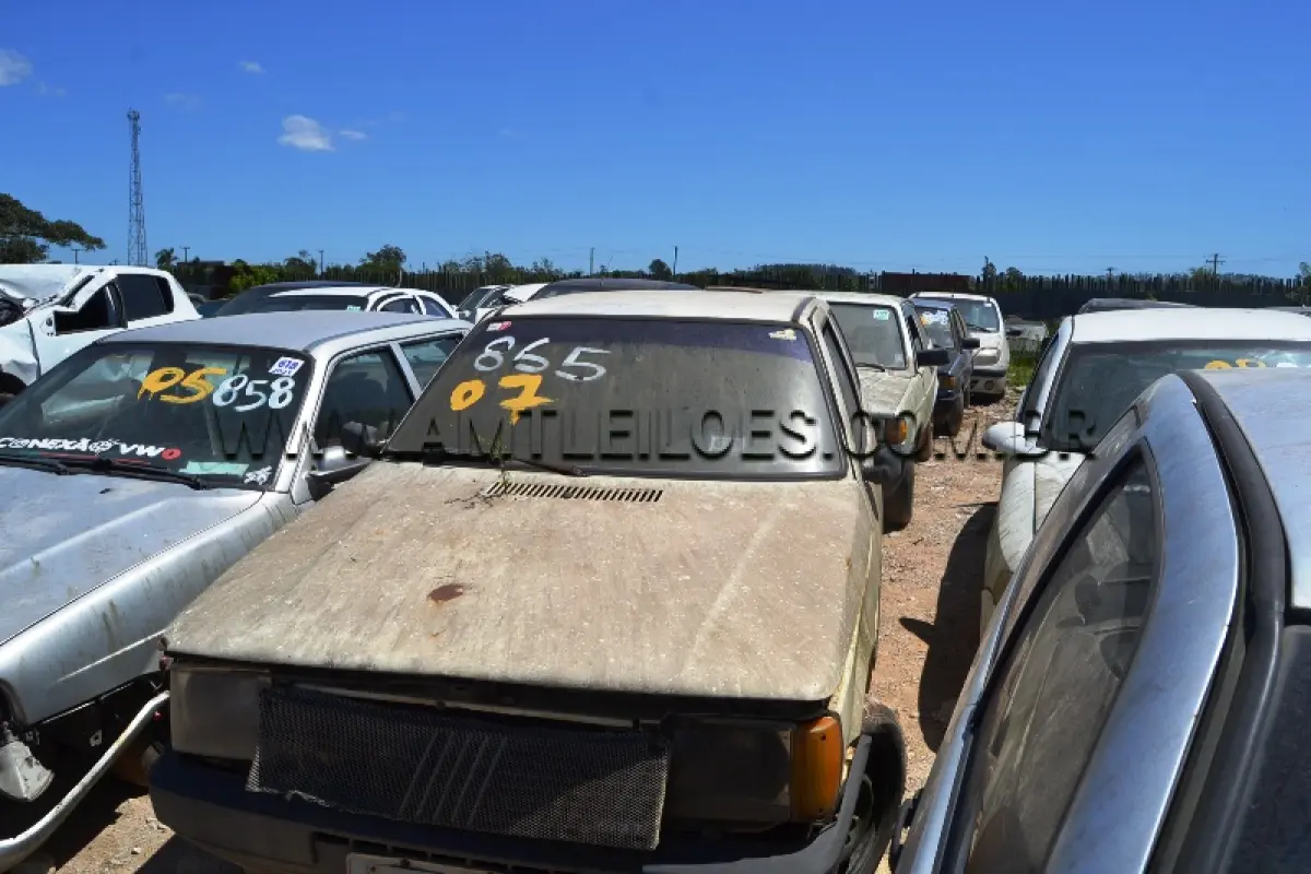 LOTE 0007
