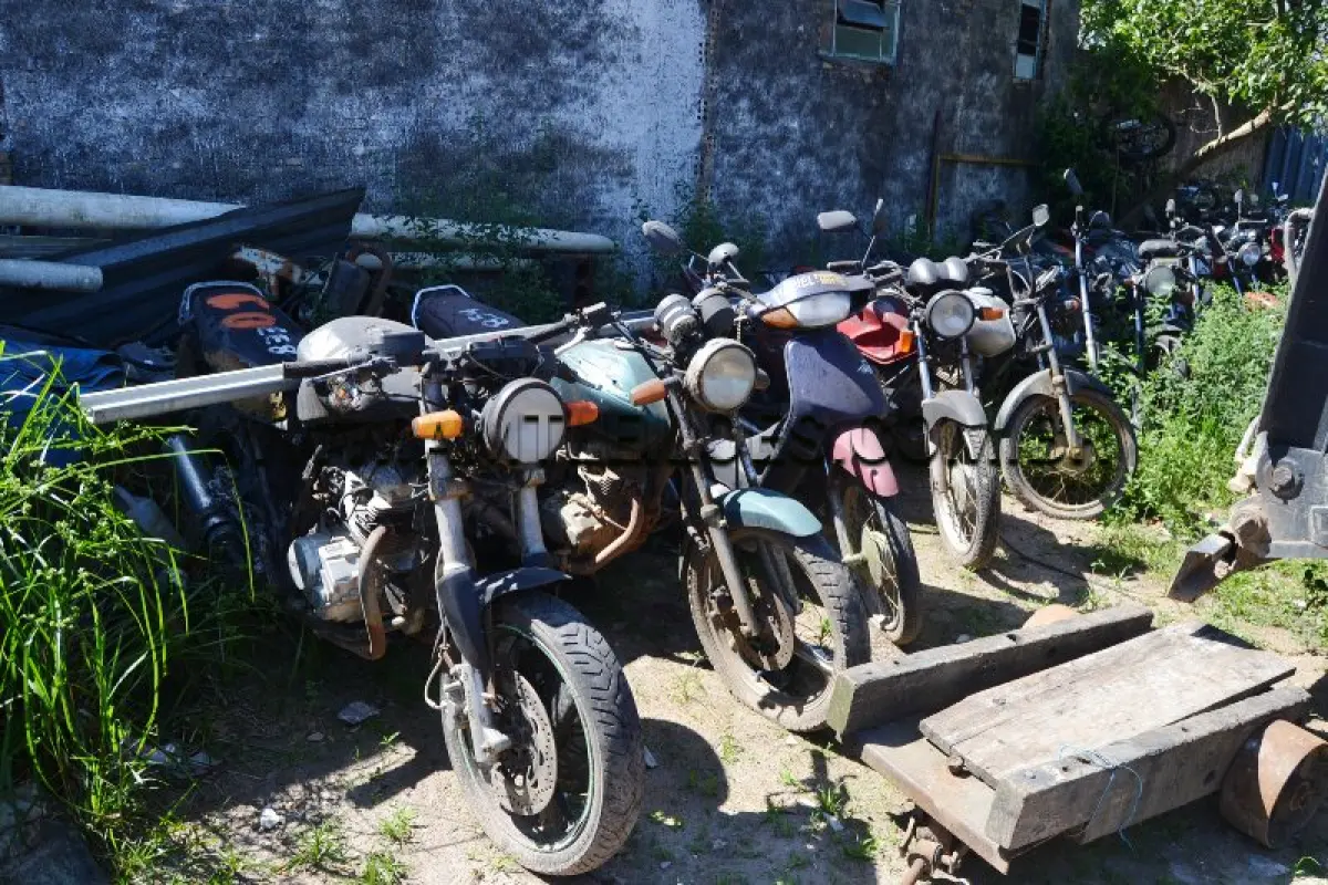 LOTE 0001