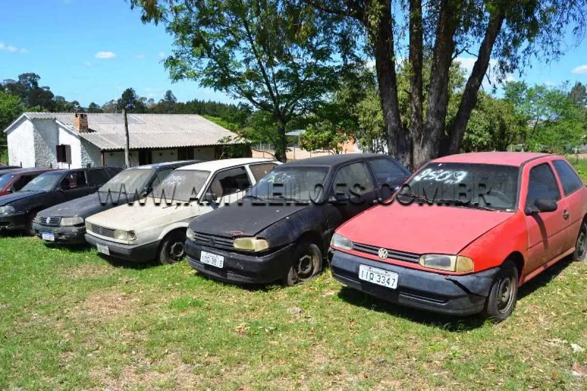 LOTE 0087