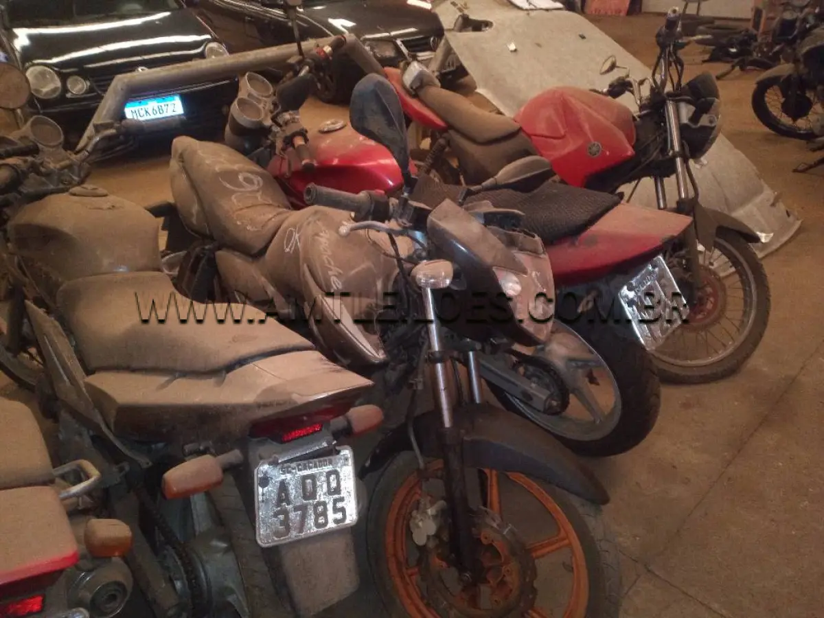 LOTE 39595