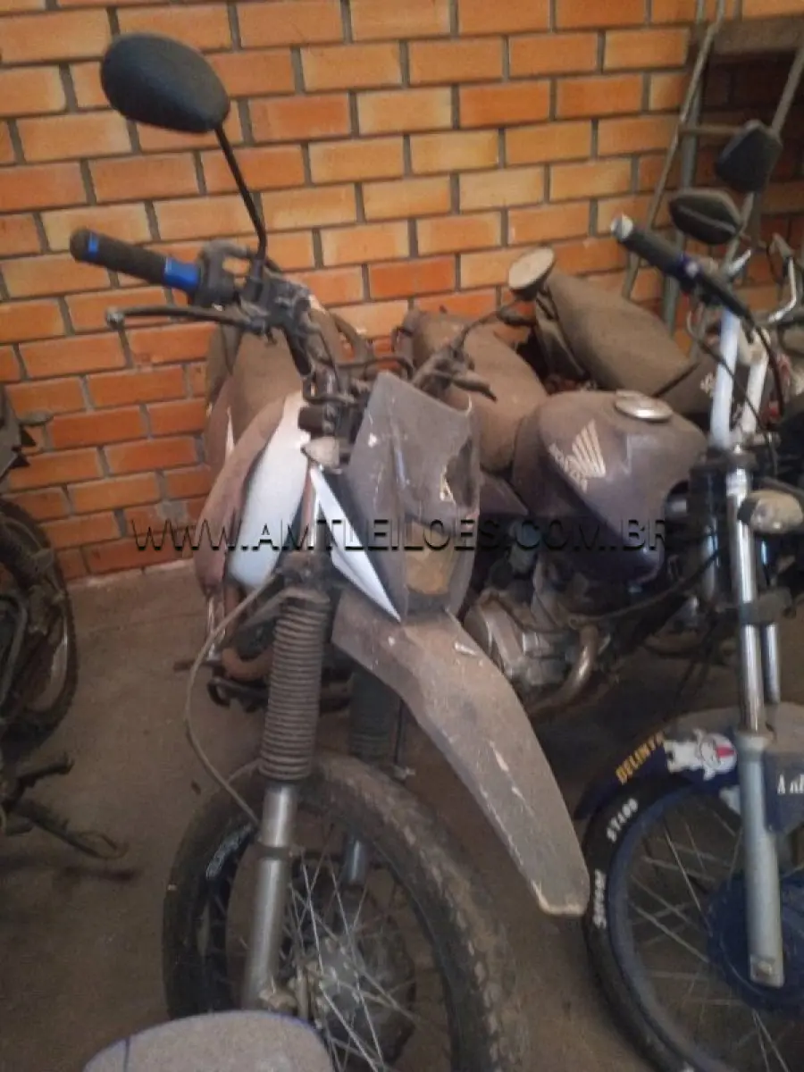 LOTE 39597