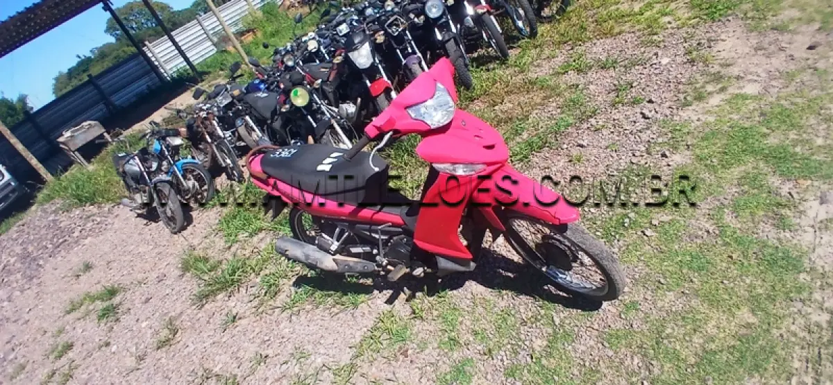 LOTE 0302