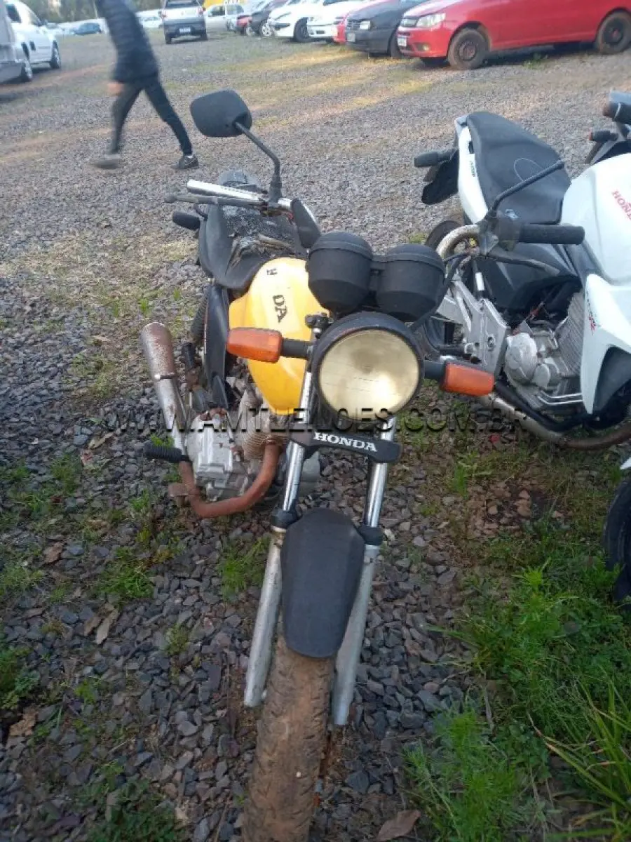 LOTE 39613