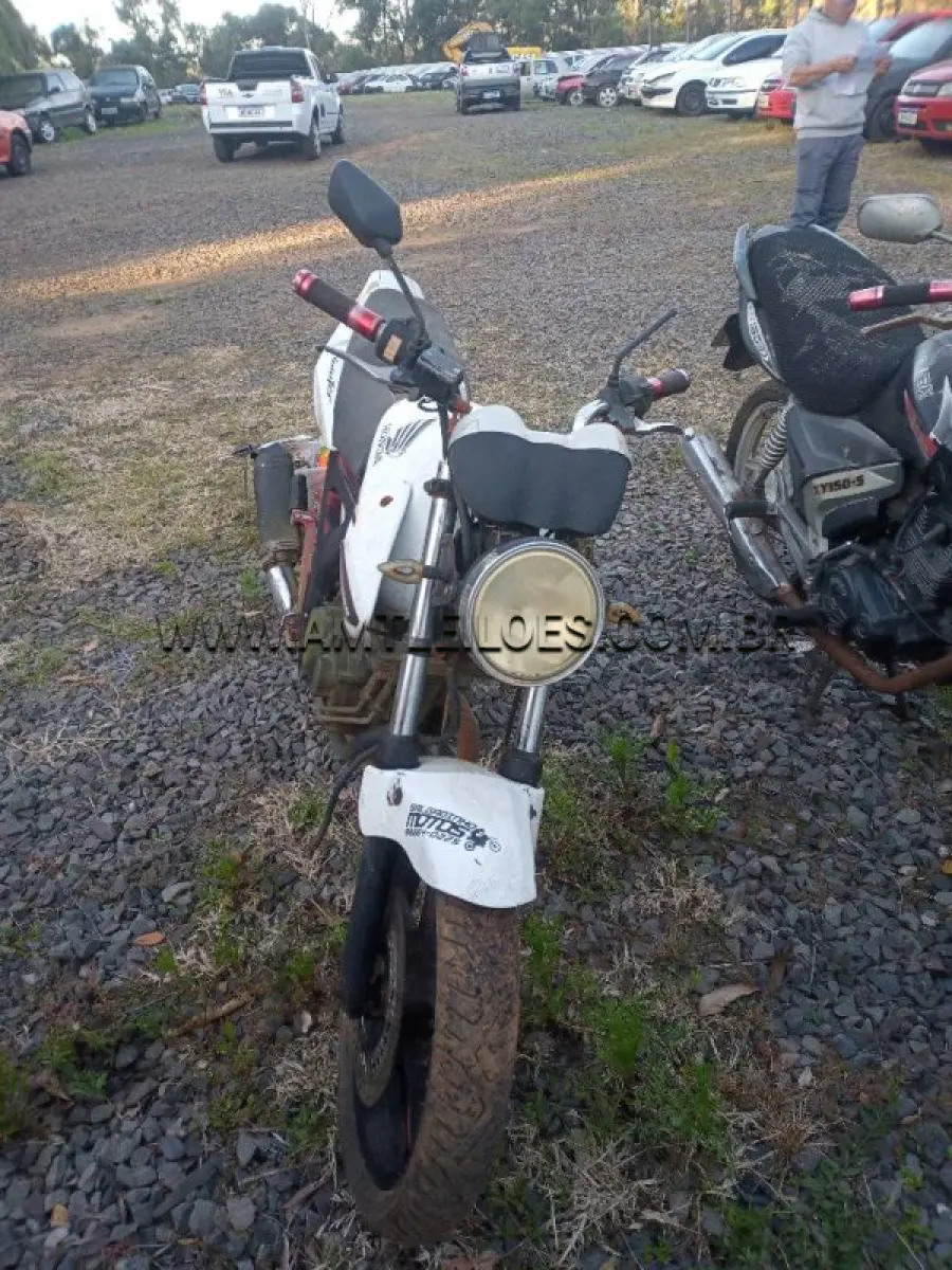 LOTE 39614