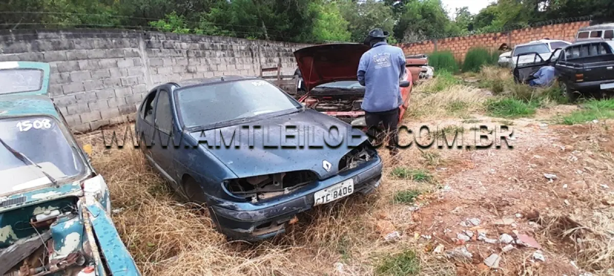 LOTE 0203