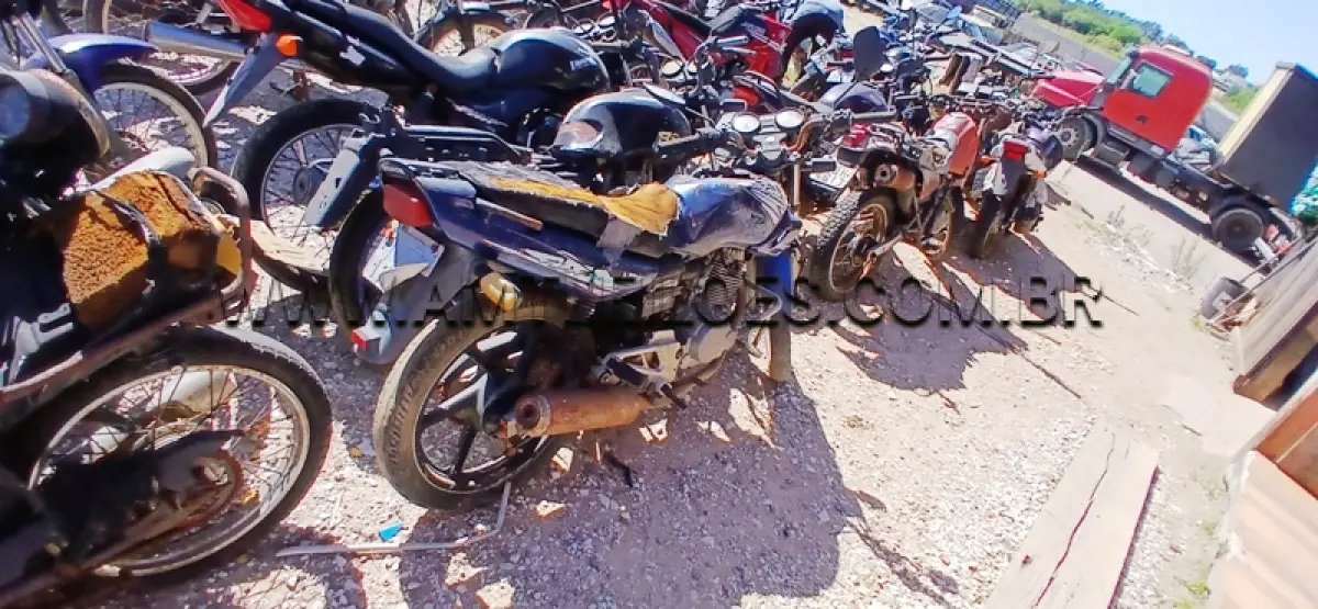 LOTE 0002