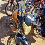 Foto 2
