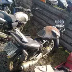 Foto 4