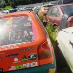 Foto 7