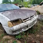 Foto 8