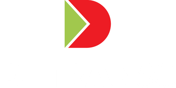 LEILÃO DETRAN SC N. 01/CEL/RENAJUD/2024 - VEÍCULOS CONSERVADOS